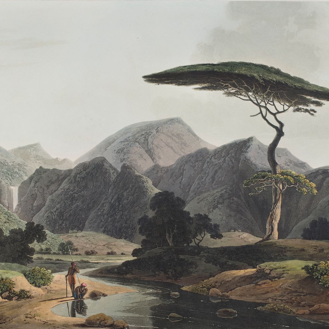 Vision & Landscape - DAG World